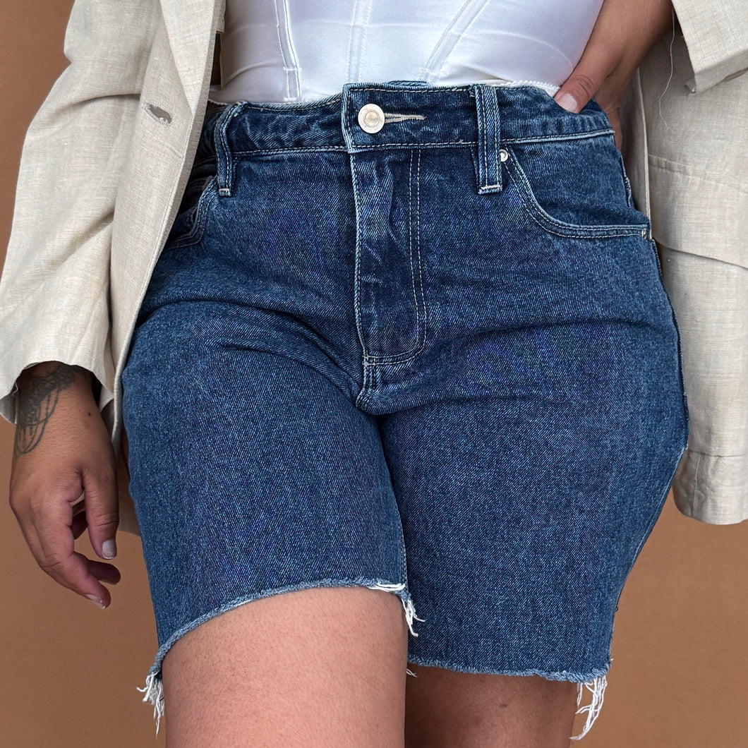Newly Added: High Waist Denim Shorts